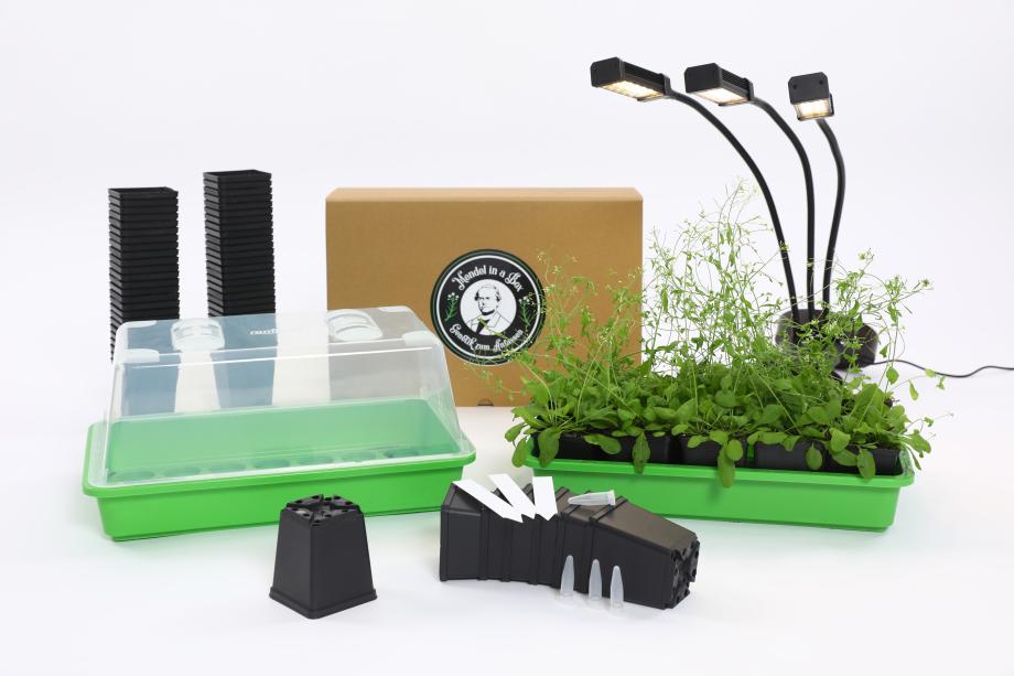 Blumenkästen, Lampen und Probestreifen