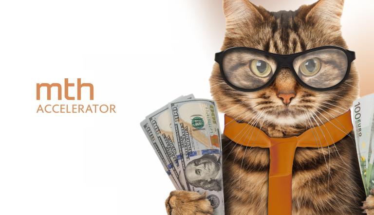 Grafik einer Katze, die Dollar- und Euroscheine in der Hand hat