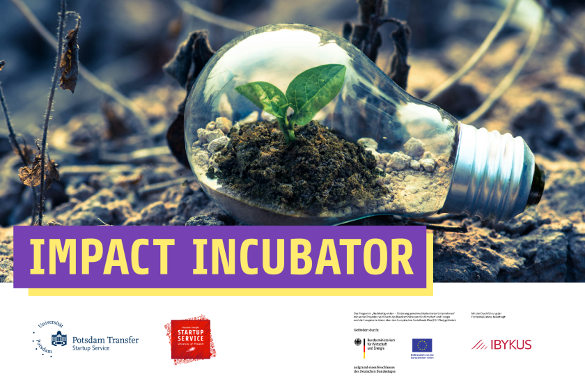 Glühbirne mit kleiner Pflanze innen auf Waldboden unter dem Titel "Impact Incubator" (In der Fußleiste befinden sich Logos vom Startup Service der Uni Potsdam und Hinweise auf den Fördermittelgeber BMWE sowie das EU-Logo)